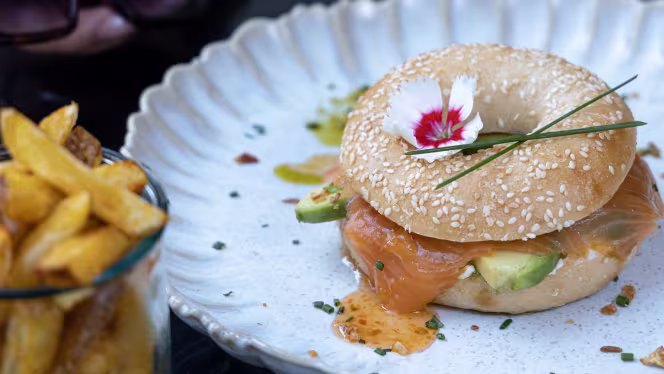 Janette Experience - 1