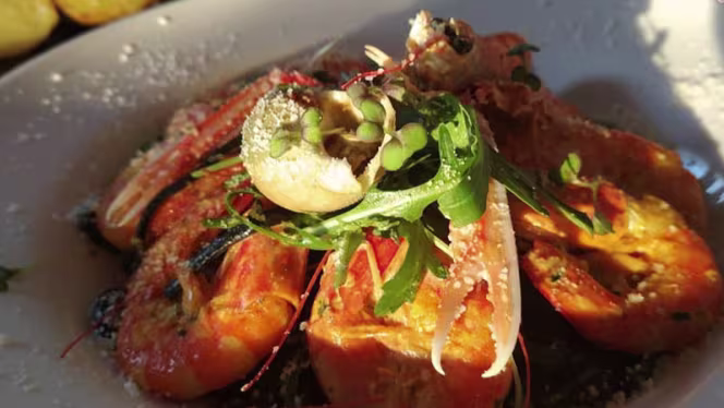 Anastacia Marina - 4