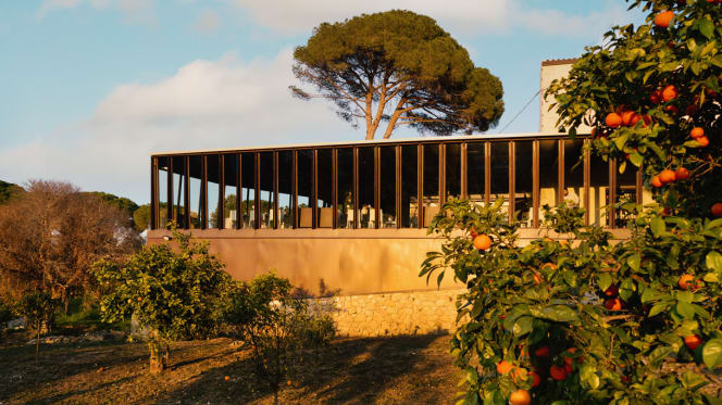 Momento Ristorante - 4