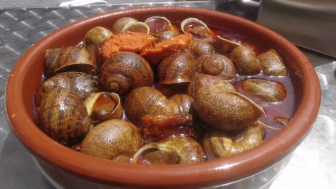 Casa Amadeo Los Caracoles - 4