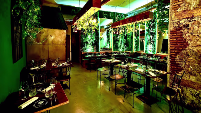 Clorofilla giardino urbano - 4