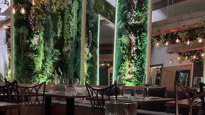 Clorofilla giardino urbano - 6