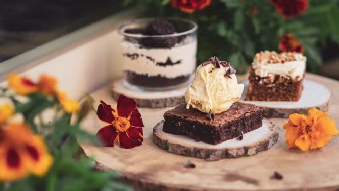 345 Pizza Fusion Today - 6