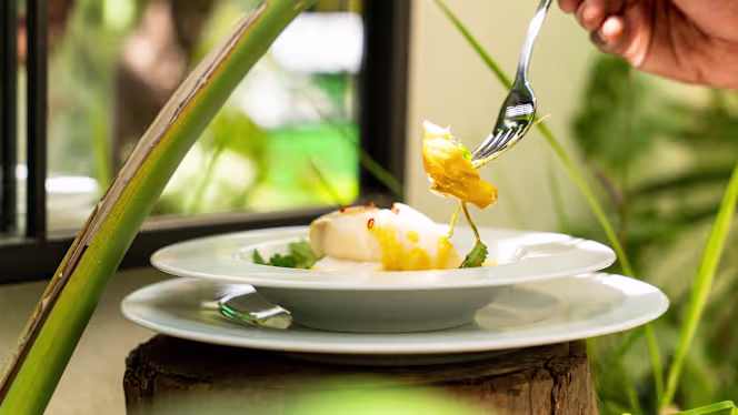 Le Jardin D' Éden Lisboa - Lisboa - 1