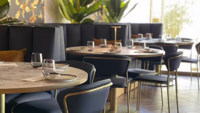 Wow Sushi Bar-  Faro - Faro - 6