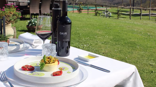 Terre di Giorgio - 8