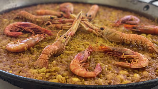 El Sequer de Tonica - 1