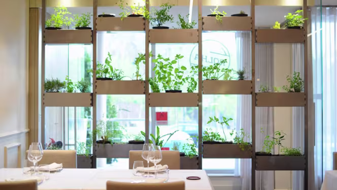 ROLHA - Restaurante & Garrafeira - 0