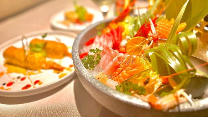 Haru Madone - Madone - 5