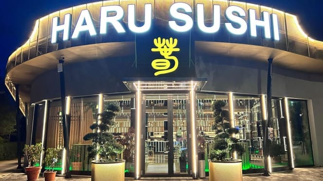 Haru Madone - Madone - 6