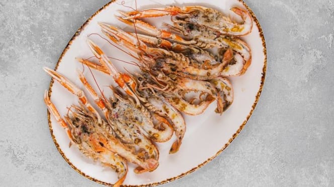 Chao Pescao Born - 4