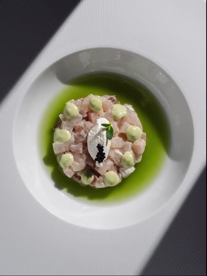Festa Restaurant - 0