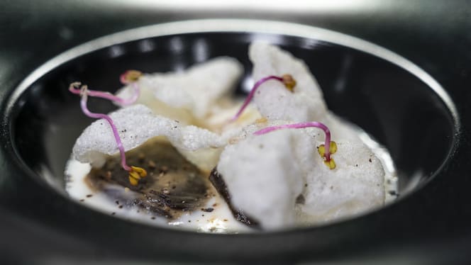 Festa Restaurant - 7