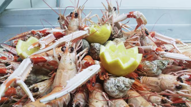 Poissonnerie Moreau - 1