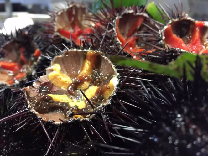 Trattoria Antico Cortile - 3