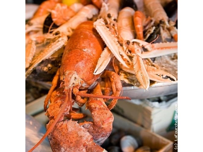 Le Cardinal - Paris - 1