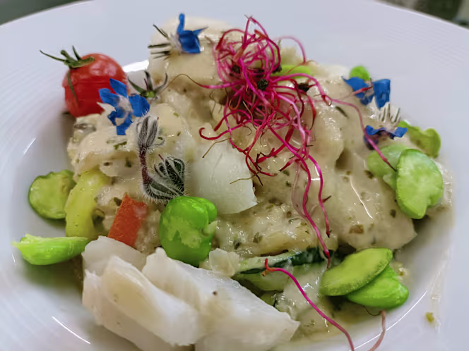 Oceania - Clermont-Ferrand - 4