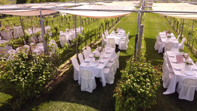 Podere Riosto - Cantina e Agriturismo - 5