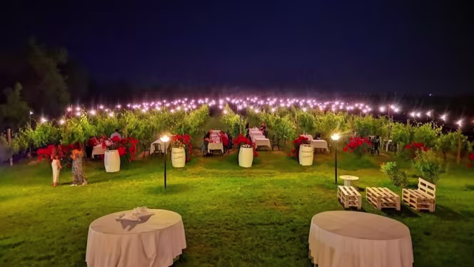 Podere Riosto - Cantina e Agriturismo - 4