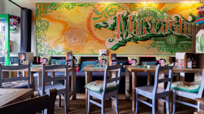 Señor Mostachio - 0