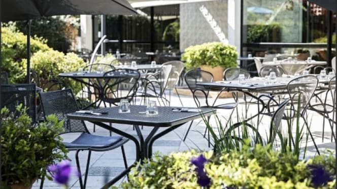 Hippopotamus Merignac - 2