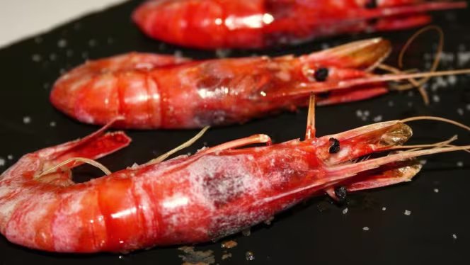 El Faro Casa Gemma - Les Cases - 3