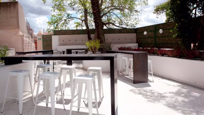 Mastropiero Gastrobar y Jardín - 0