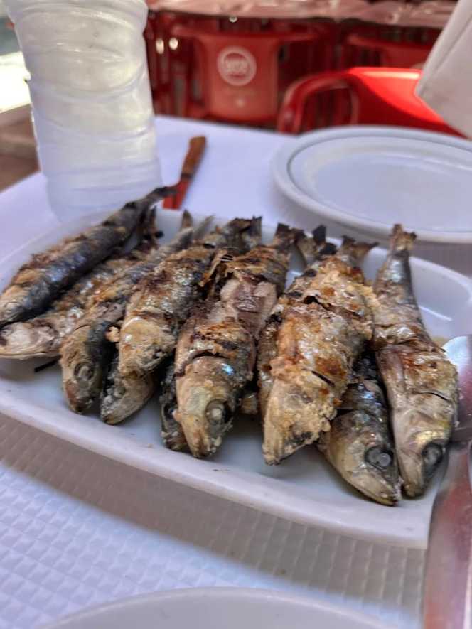 Carvoeiro De Carnide - 7