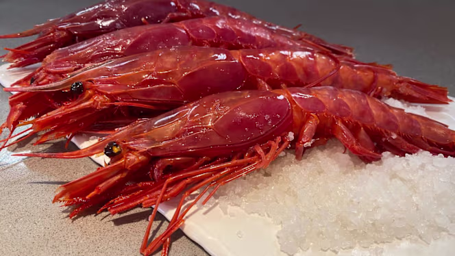 Restaurante Club Náutico Marina Greenwich - 0