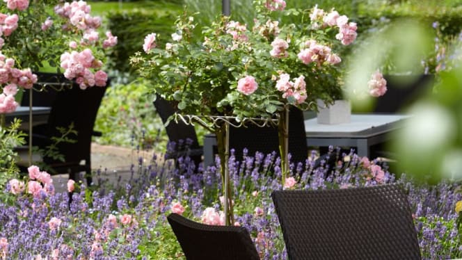 Forsthaus Heiligenberg - 5