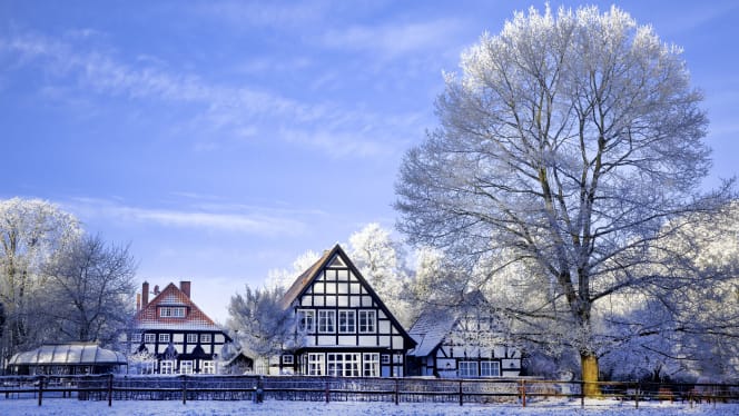 Forsthaus Heiligenberg - 7