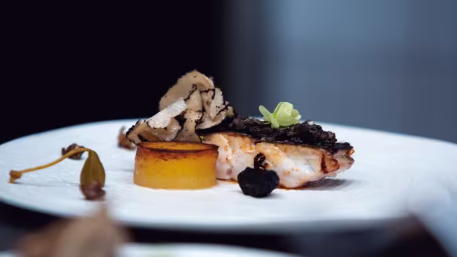 Le Ventre de l'Architecte - Hôtel Le Corbusier - Marseille - 3