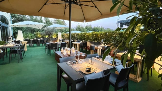 aIQu Roma (Childfree) - 0