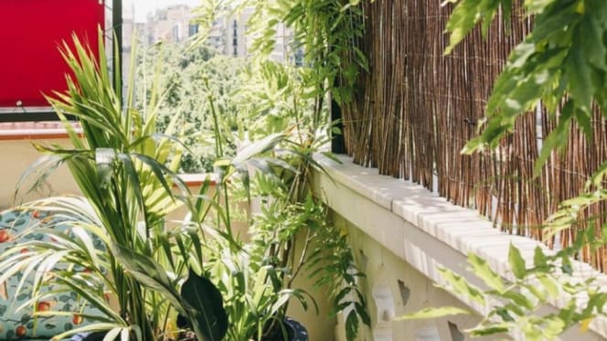 El Chiringuito de Casa Bonay - 8