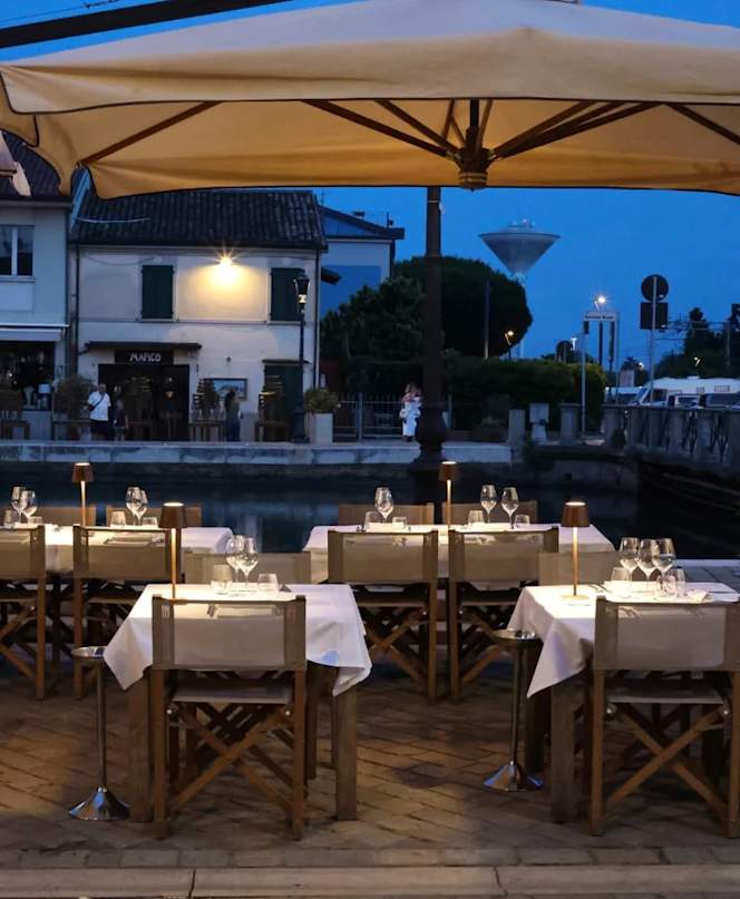 Gabbiano sul Porto - 9