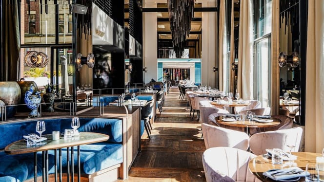 Blue Blood - Den Haag - 0