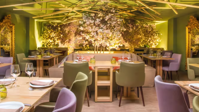 Elebê Entreparedes - 0