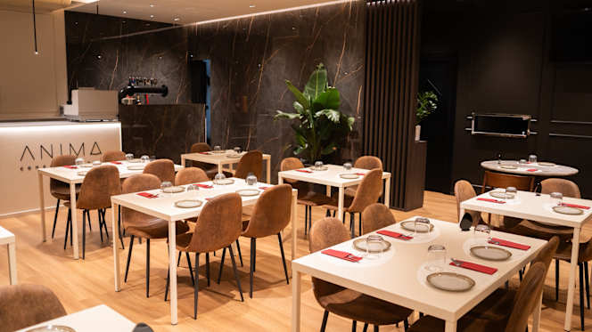 Anima Concept Pizza - 0