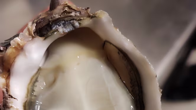 Trattoria Mediterranea - Concorezzo - 5