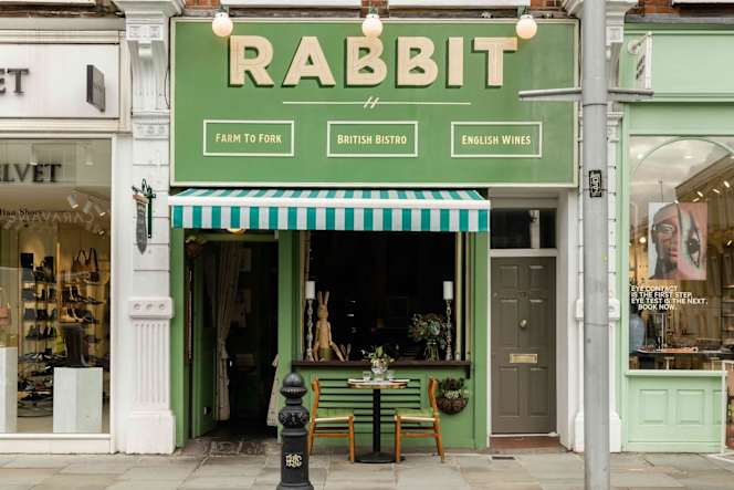 Rabbit - 4