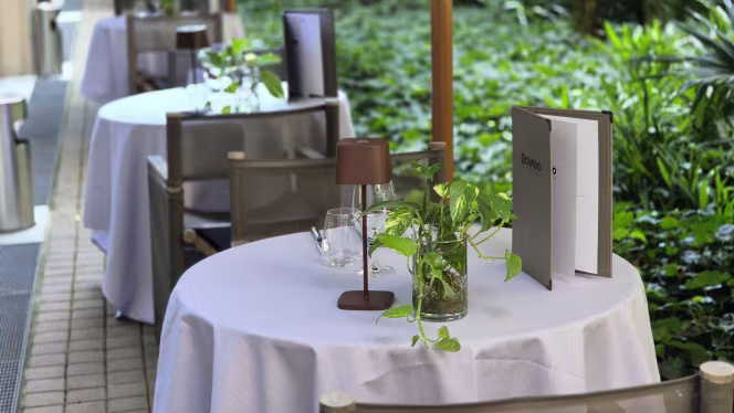 Torpedo - Torino - 0