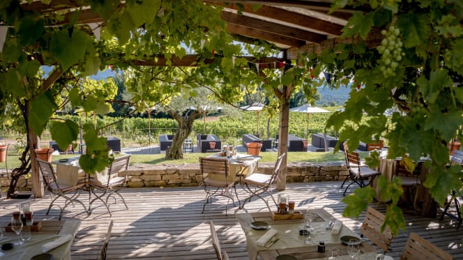 Les Vignes & Son Jardin - Gargas - 8