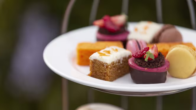 Afternoon Tea at Forest Pines Golf & Spa Resort - 5