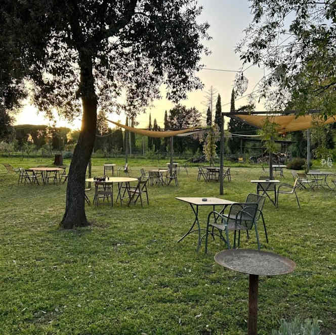 Brado Tenuta di Paganico - 2
