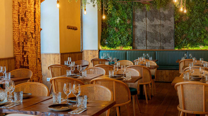 Kong - Food Made With Compassion - 3