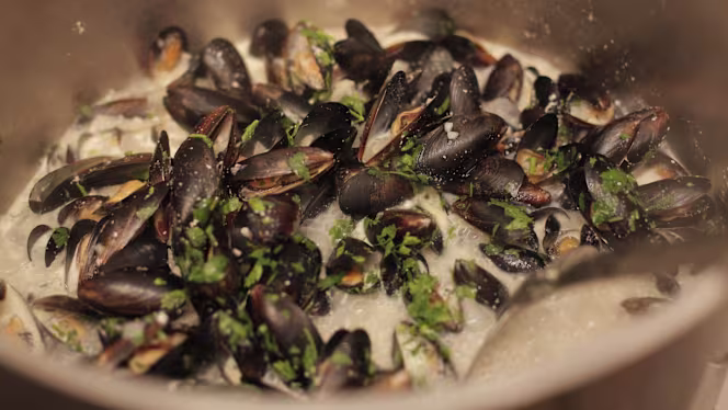 Restaurant les Arcades - Aix-en-Provence - 1