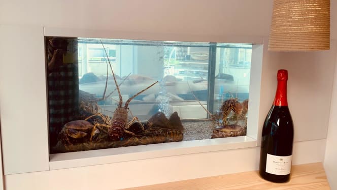 La Terraza de la Pescadería - 5