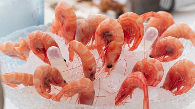 La Terraza de la Pescadería - 2