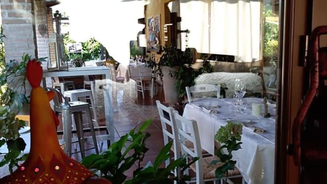 Il Gallo della Checca - 9