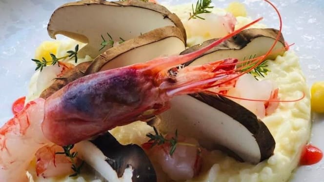 Il Gallo della Checca - 4